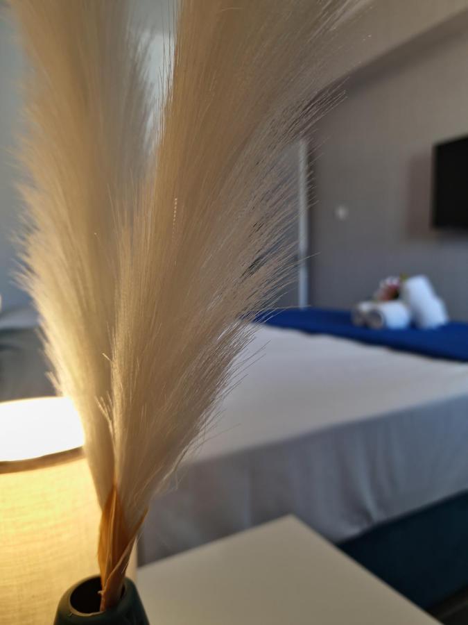Carisa Deluxe Apartment With Jacuzzi Lárnaka Eksteriør bilde